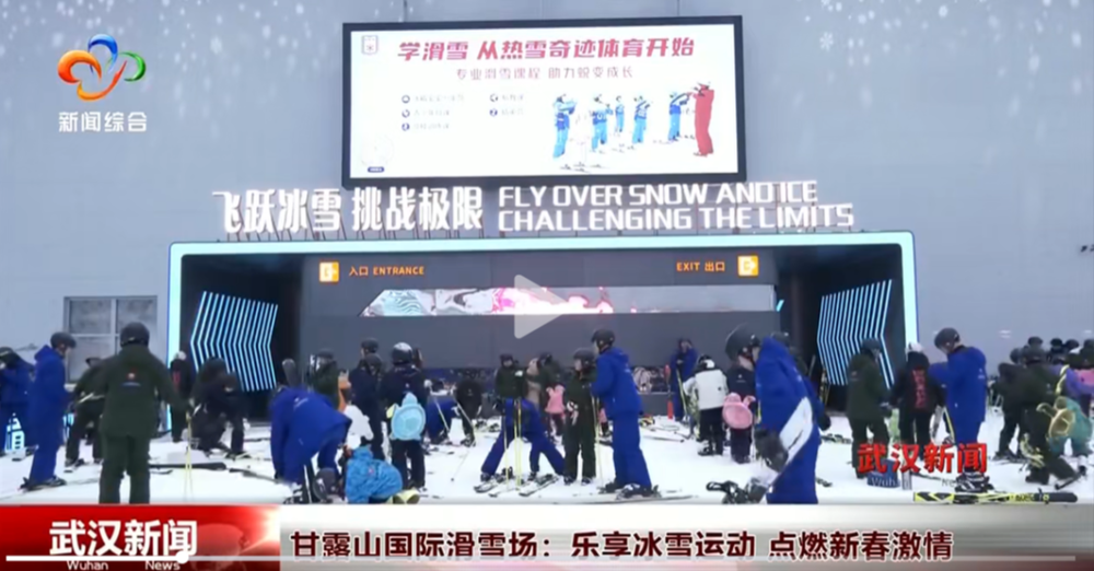 新任主教练